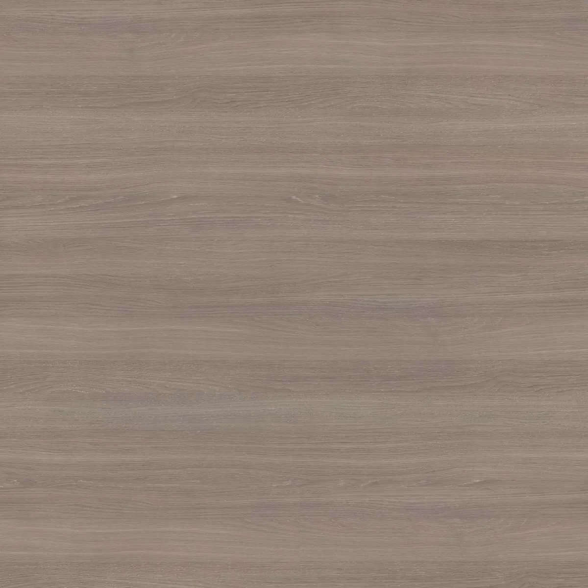 Mountain Oak Grey